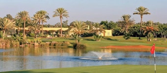 Entire condo hosted by Fouzia