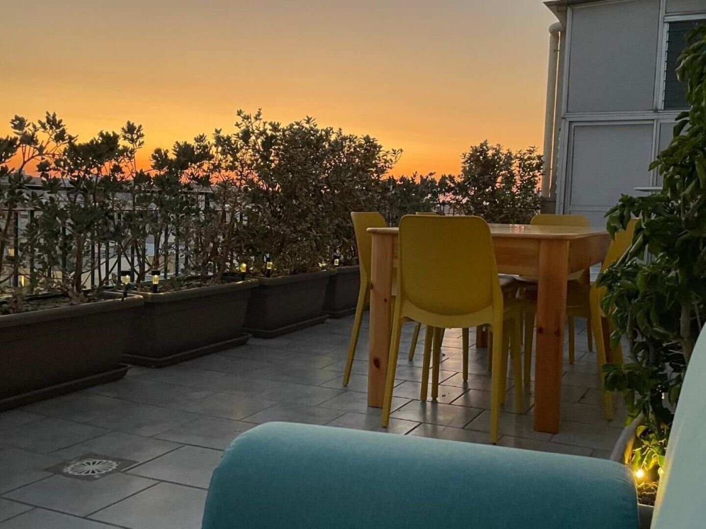 A terrace with yellow chairs and a table, surrounded by potted plants and a view of the sunset.