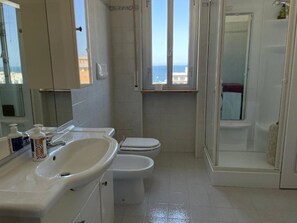 Shower, hair dryer, bidet, towels