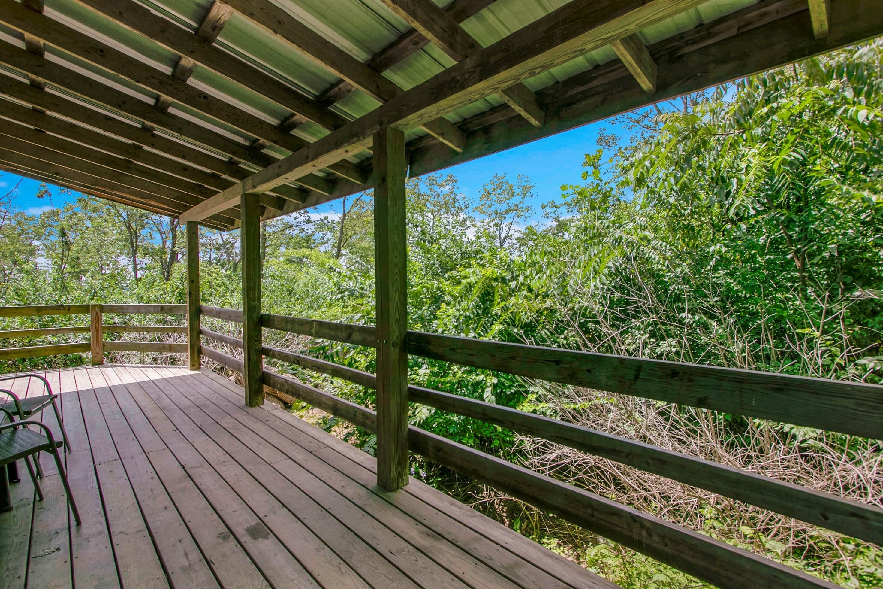 A wooden deck with a railing, surrounded by dense greenery and trees.