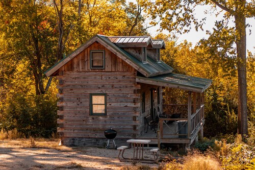 Rustic River Cabin 2