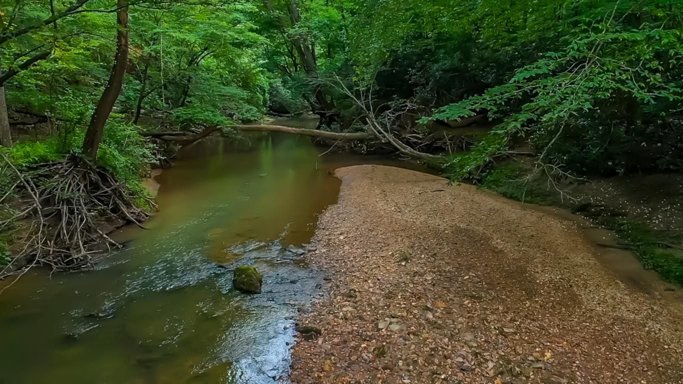 A natural landscape with a river, dense foliage, and a pebbly path.