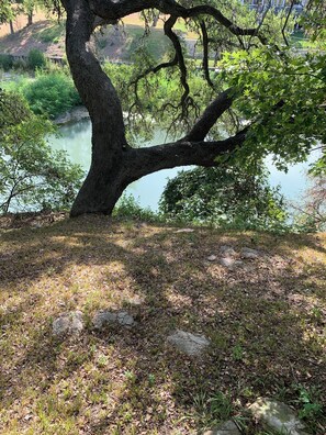 Property grounds - Peaceful Guadalupe Riverfront home minutes from Texas Lutheran & Downtown Seguin (Seguin)
