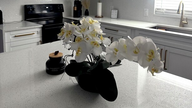 A modern kitchen with white cabinetry, a black range hood, and a vase of white orchids on the counter. - Your Forever Home (Lutz)