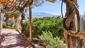 A garden pathway with a pergola structure, surrounded by greenery and a mountainous backdrop.