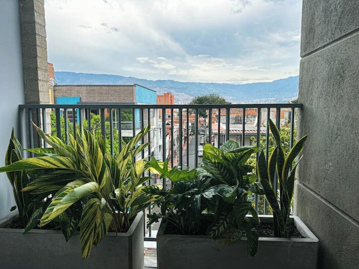 Áreas de la propiedad