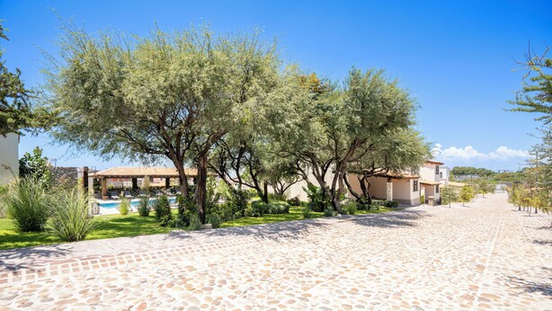 A courtyard with a swimming pool, stone paving, and trees. - 4BR Private Sanctuary with Pools and Gym (San Miguel de Allende)