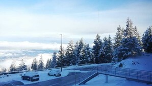 Un paisaje nevado con una carretera, un puente y árboles cubiertos de nieve.