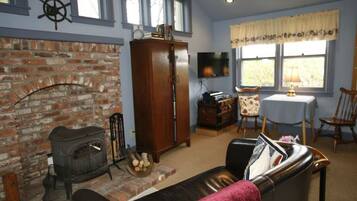 TV, fireplace, books, music library