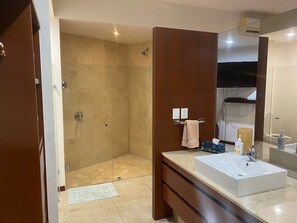 A modern bathroom with a walk-in shower, a large mirror, and a vanity with a sink. - Alamar Vallarta (La Cruz de Huanacaxtle)