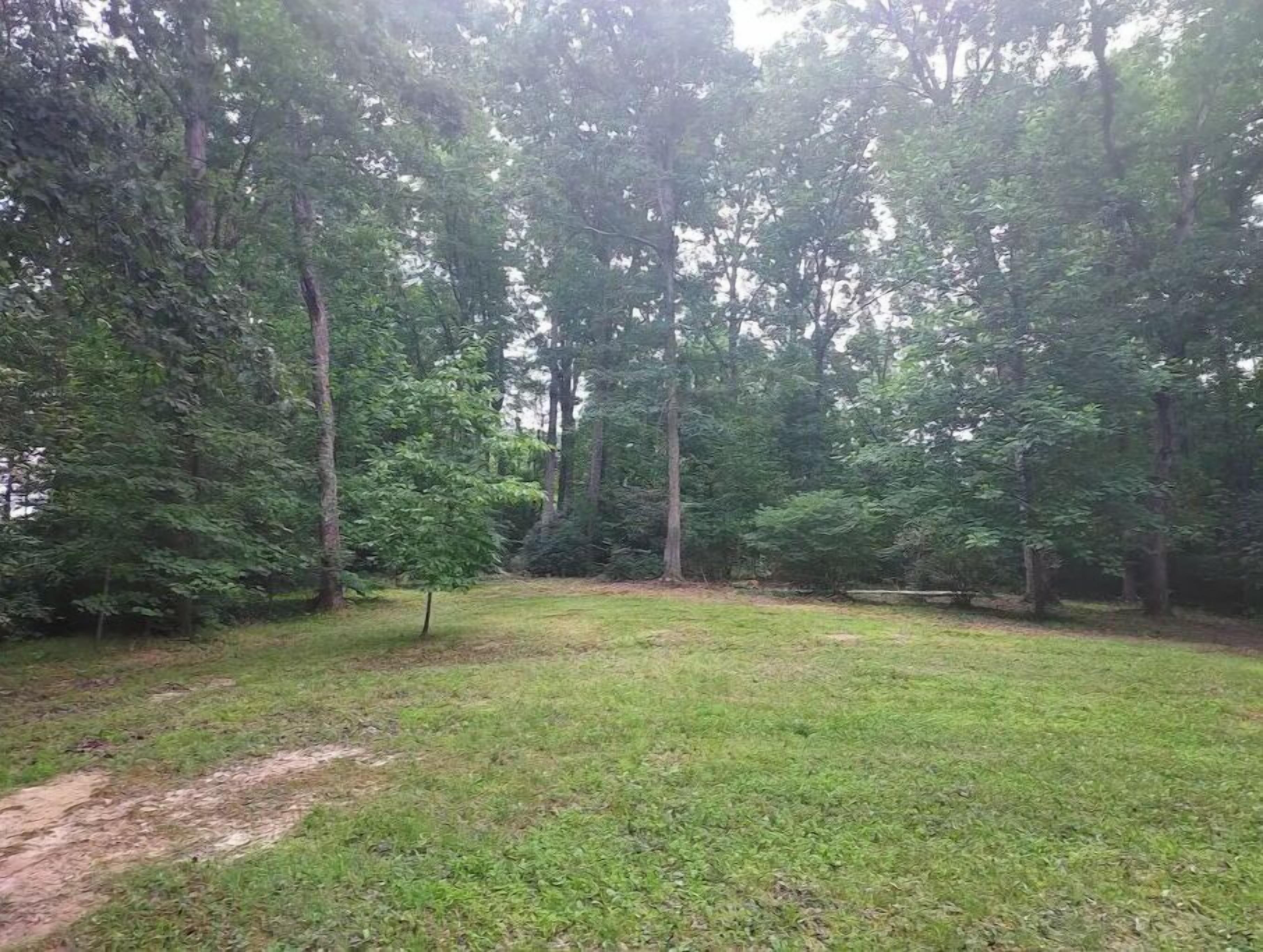 A grassy outdoor area with trees and a dirt path.