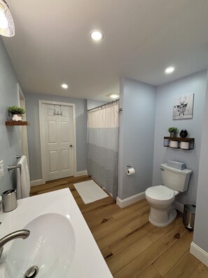 A bathroom with a white sink, toilet, and shower curtain. There is a door, a shelf with plants, and a picture on the wall. - Spacious White Mt. Cabin - Outdoor Patio & Fireplace (Thornton)