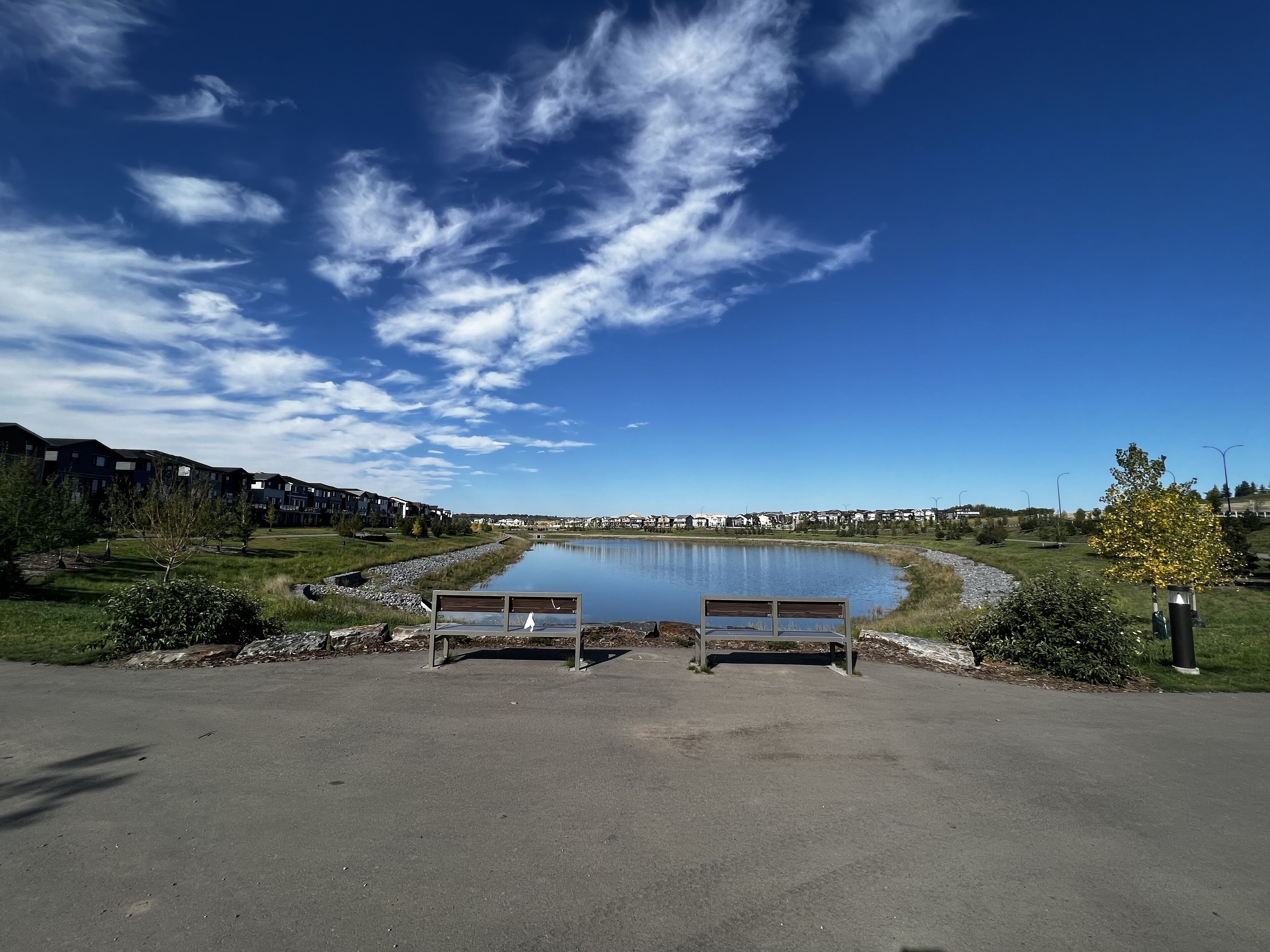 A serene outdoor area with a small pond, two benches, and a clear blue sky.