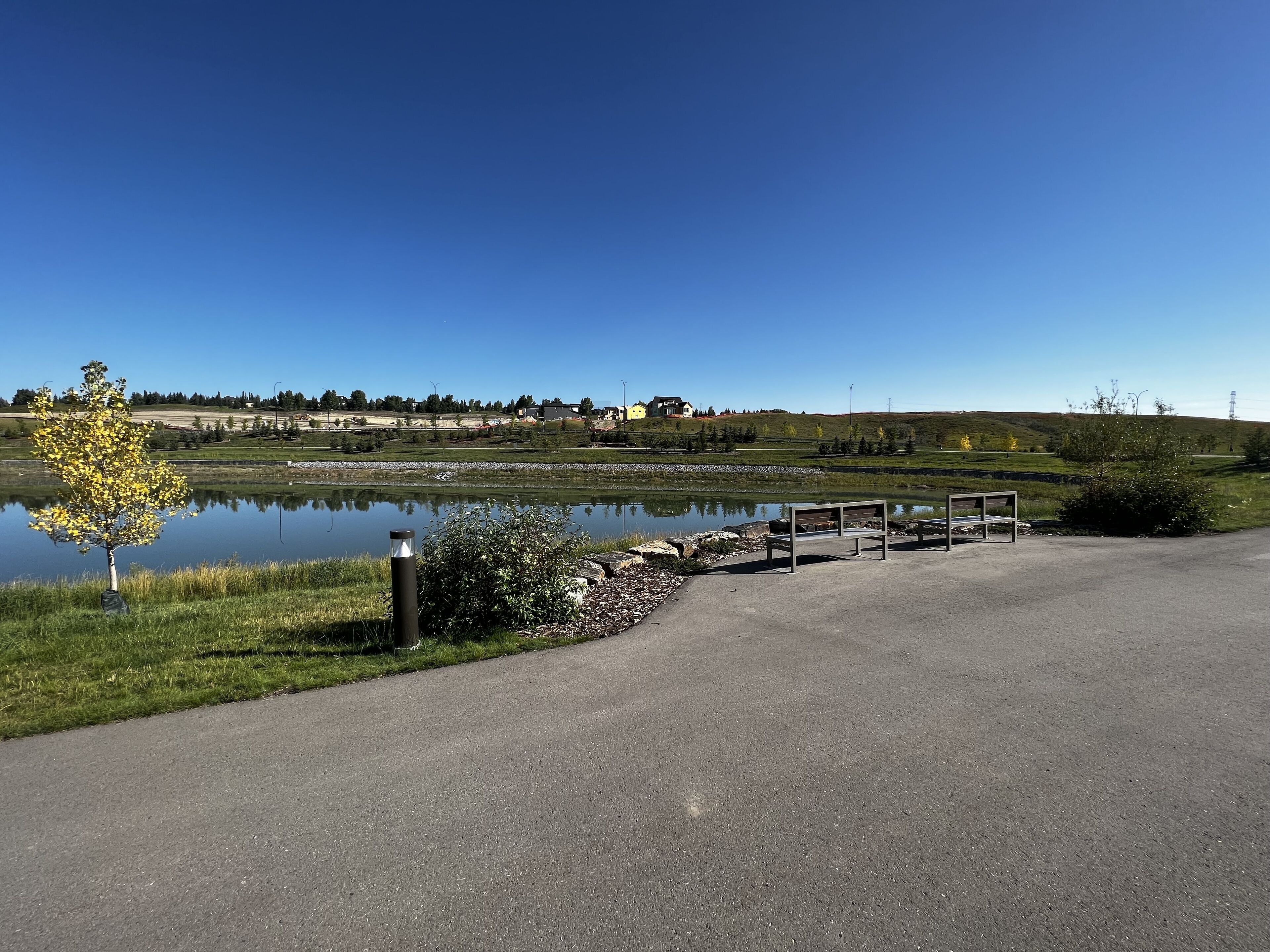 Un sentier pavé mène à un lac paisible, où l’on trouve des bancs et un petit arbre.