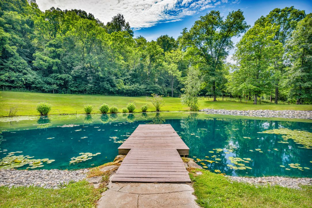 Une terrasse en bois mène à un étang aux eaux limpides, entouré d’une végétation luxuriante et d’arbres.