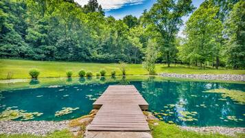 Une terrasse en bois mène à un étang aux eaux limpides, entouré d’une végétation luxuriante et d’arbres.