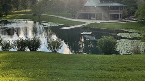 Een gebouw met een groen dak en een overdekte veranda, omringd door een vijver met waterlelies en een gazon.