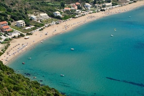 Lettini da mare