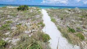 A beach path leading to the ocean with sparse vegetation and a clear sky. - NEW! 2/2, IRB-Beach/Pool View, Sleeps 6, unit F (Indian Rocks Beach)