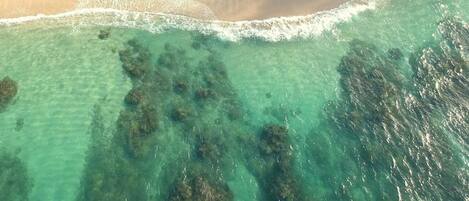 Sun loungers, beach towels