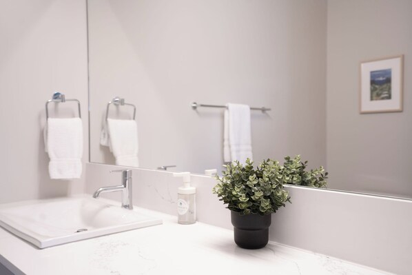 A modern bathroom with a white sink, a mirror, a potted plant, and a towel rack. - Northern Exposure by Revelstoke Vacations (Revelstoke)