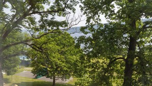 A park with trees, a playground, and a road.