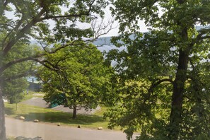 A park with trees, a playground, and a road.