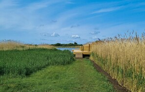 المنطقة المحيطة بالمنشأة