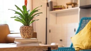 A cozy living room with a wooden coffee table, a woven plant pot, and a blue chair with a yellow pillow.