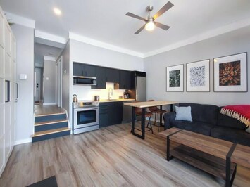 Salon, coin-repas, cuisine