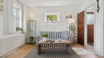 智能电视、壁炉、DVD 播放器、立体声音响