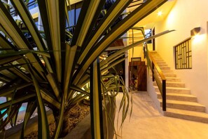 Interior - BT Rooms Tulum (Tulum)