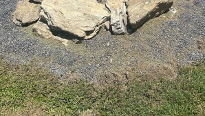 A fire pit with rocks and gravel, surrounded by grass. - Romantic cottage, pet friendly, stunning views of Smoky mtns. & Pigeon River.  (Clyde)