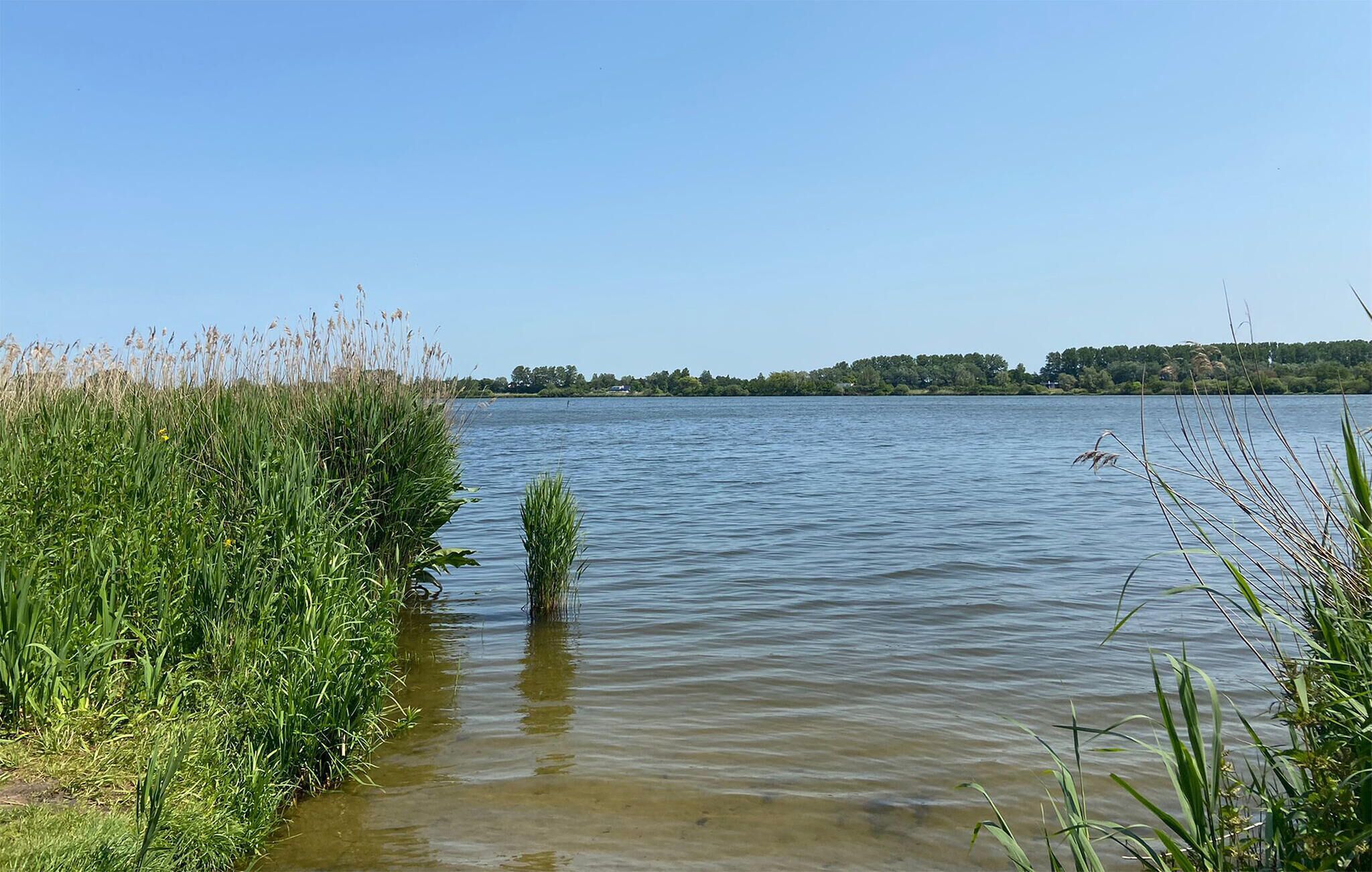 Een rustig meer met weelderige begroeiing langs de oevers.