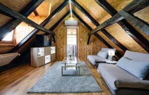 Smart-TV, Kamin