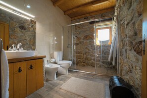 Shower, hair dryer, bidet, towels