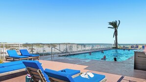 Un área de piscina con sillas reclinables azules y una palmera.