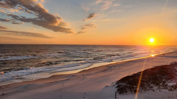 On the beach - Beach Front + Gulf Balcony + Bordering State Park (Gulf Shores)