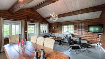 TV, fireplace, DVD player