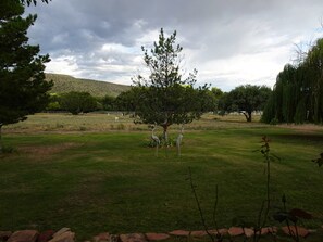 A grassy outdoor area with trees and a fence.