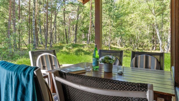 An outdoor dining area with a table and chairs, surrounded by a forest.