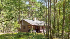 A rustic cabin surrounded by tall trees in a forest.