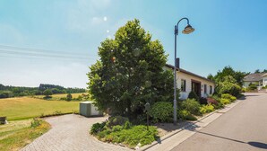 A residential street with a paved driveway, a house with a garden, and a street lamp.