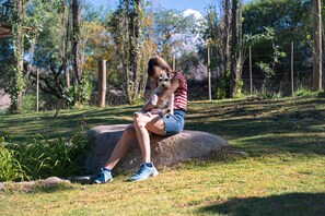 Thân thiện với vật nuôi