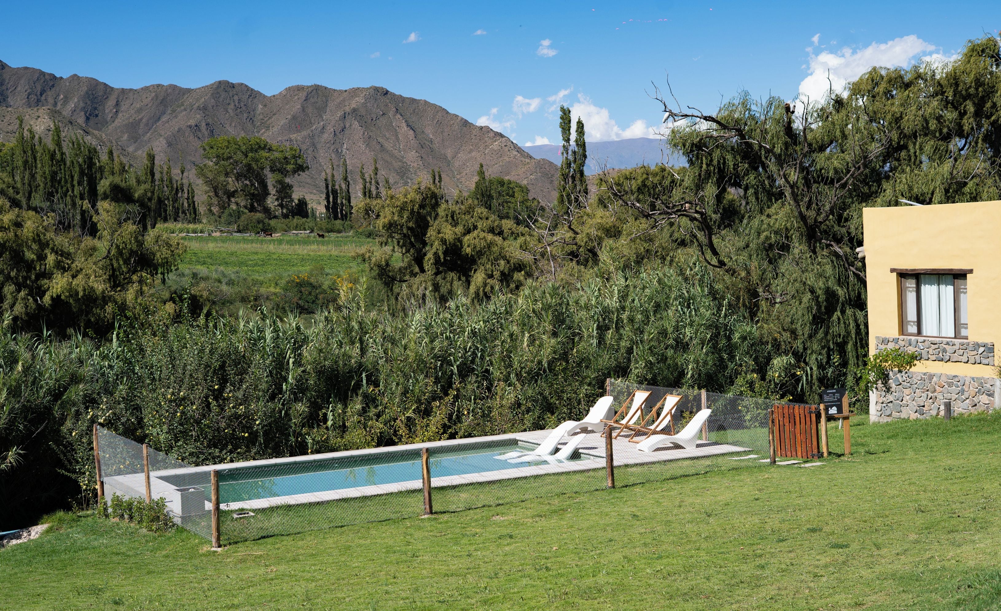 A pool with lounge chairs, surrounded by greenery and a mountain backdrop.