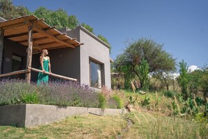 Una casa moderna con un porche cubierto, un muro de contención de concreto y una variedad de vegetación, incluyendo lavanda.