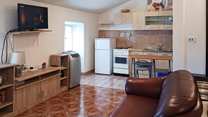 A compact living space with a kitchenette, a sofa, and a television. - Nice home in Koromacno (Koromacno)