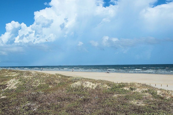 A beach with a sandy shore, grassy dunes, and the ocean in the background.