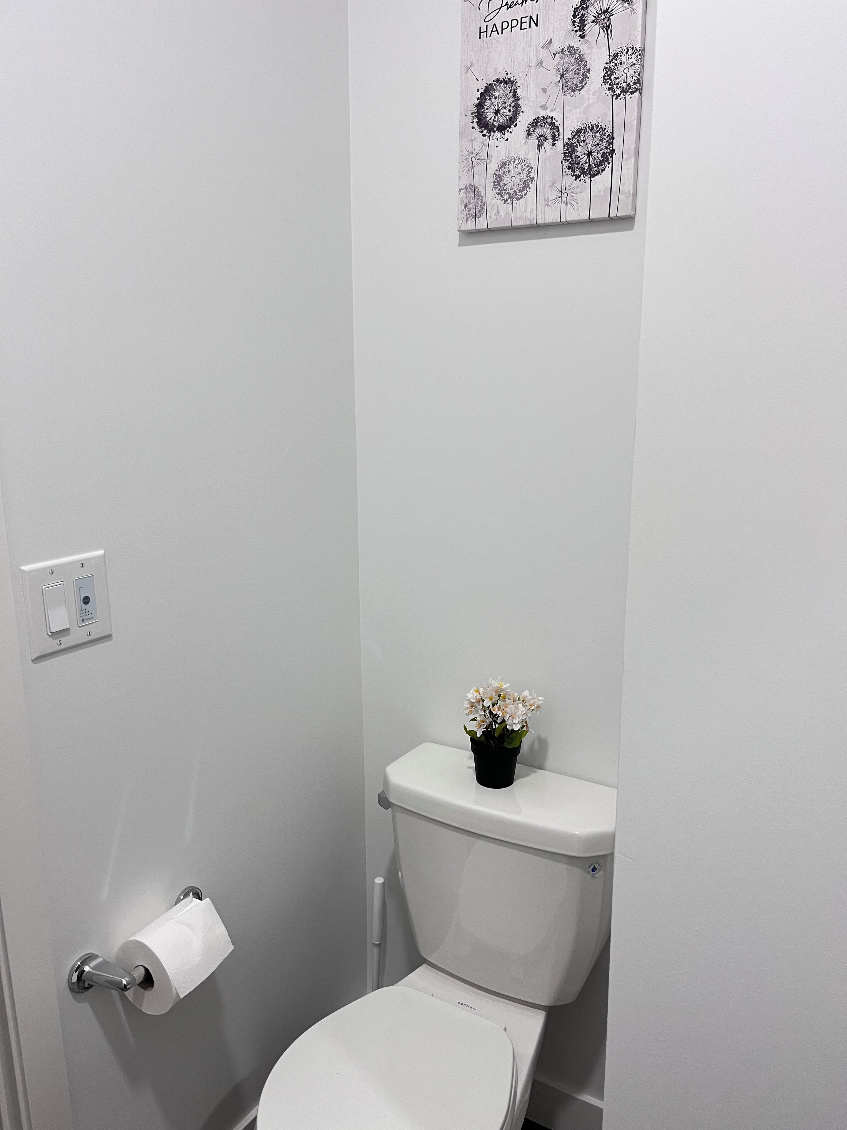 Pieni, valkoinen kylpyhuone, jossa on wc-istuin, paperipyyhepidin ja pieni ruukkukasvi wc-istuimen päällä.