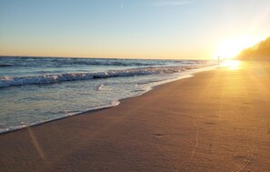 Beach nearby, fishing